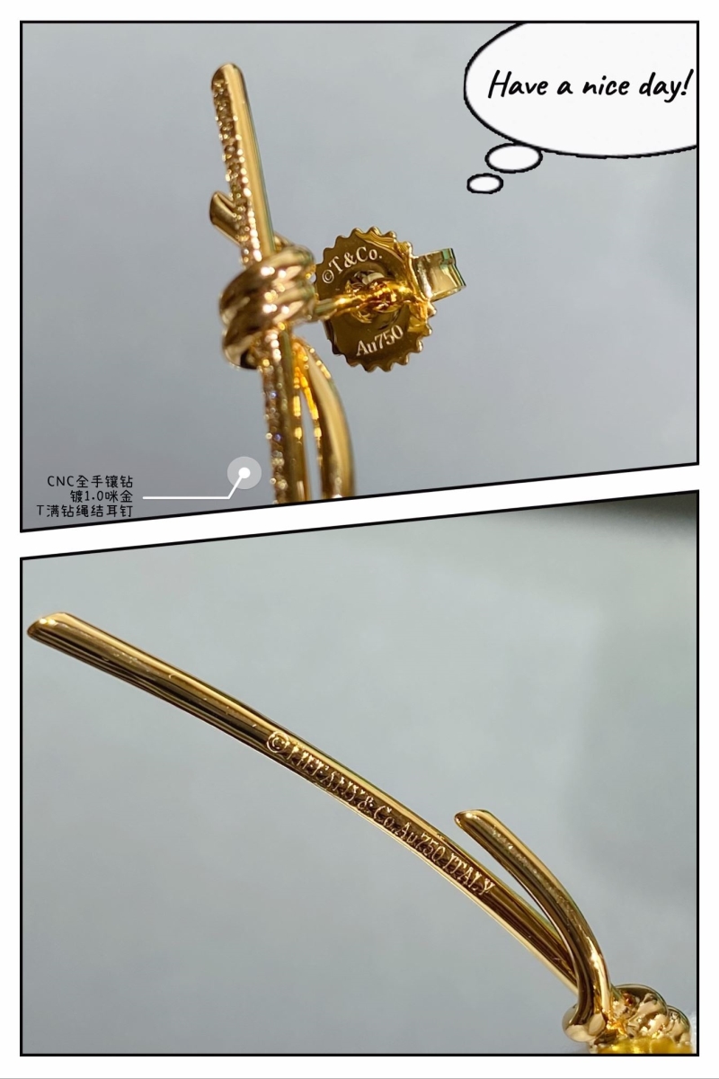 T*f*ny earrings